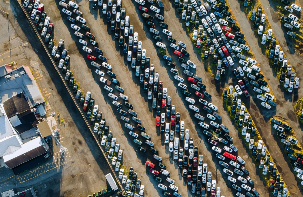 Auction Houses & Remarketing